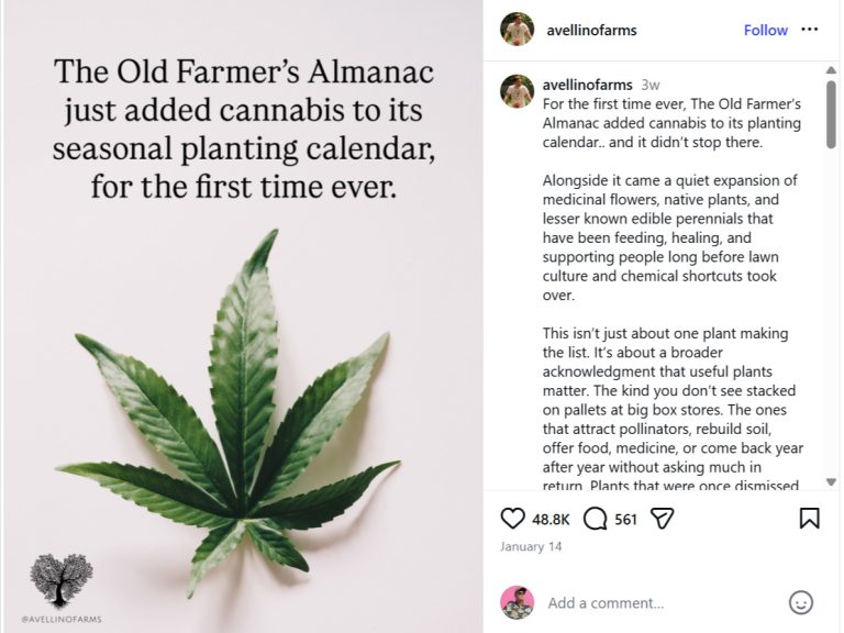 Cannabis in the Old Farmer’s Almanac? It’s Old News … Kind of