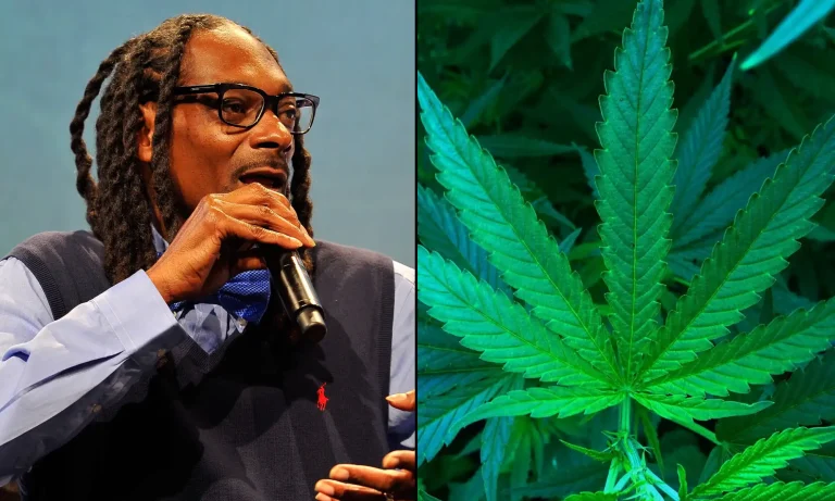 Feds Deny Snoop Dogg Request To Trademark 'Smoke Weed Everyday' Because Marijuana Is Illegal And Song Lyric Is Too Popular